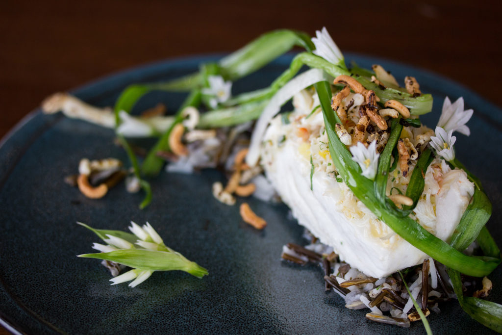 Halibut over wild rice, garnished with ramps.